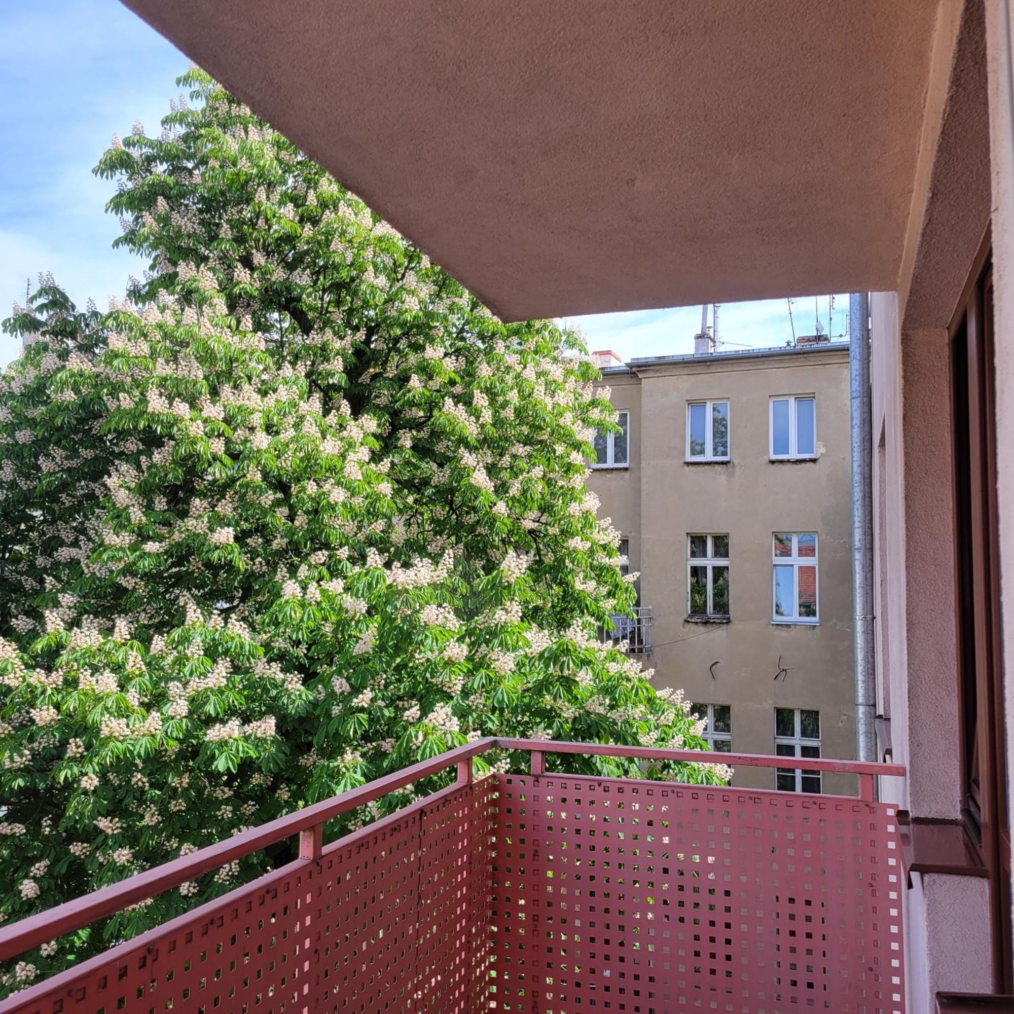 Cozy Apartment Wroclaw Exterior photo